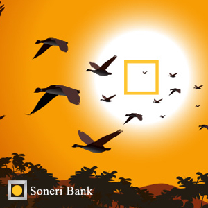 Soneri Bank